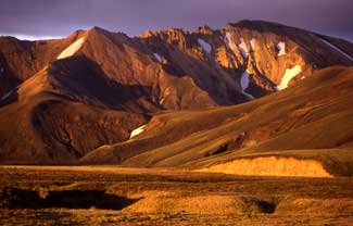 Iceland Desert